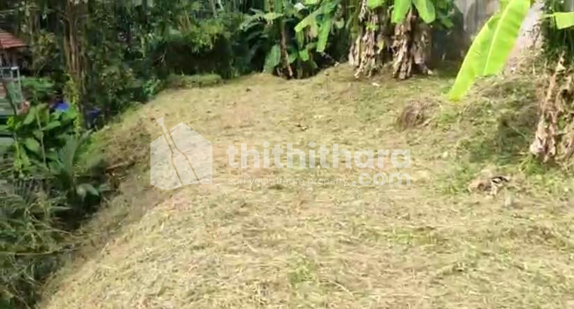 7.42 cent Land for Sale at Tondayad bypass junction 