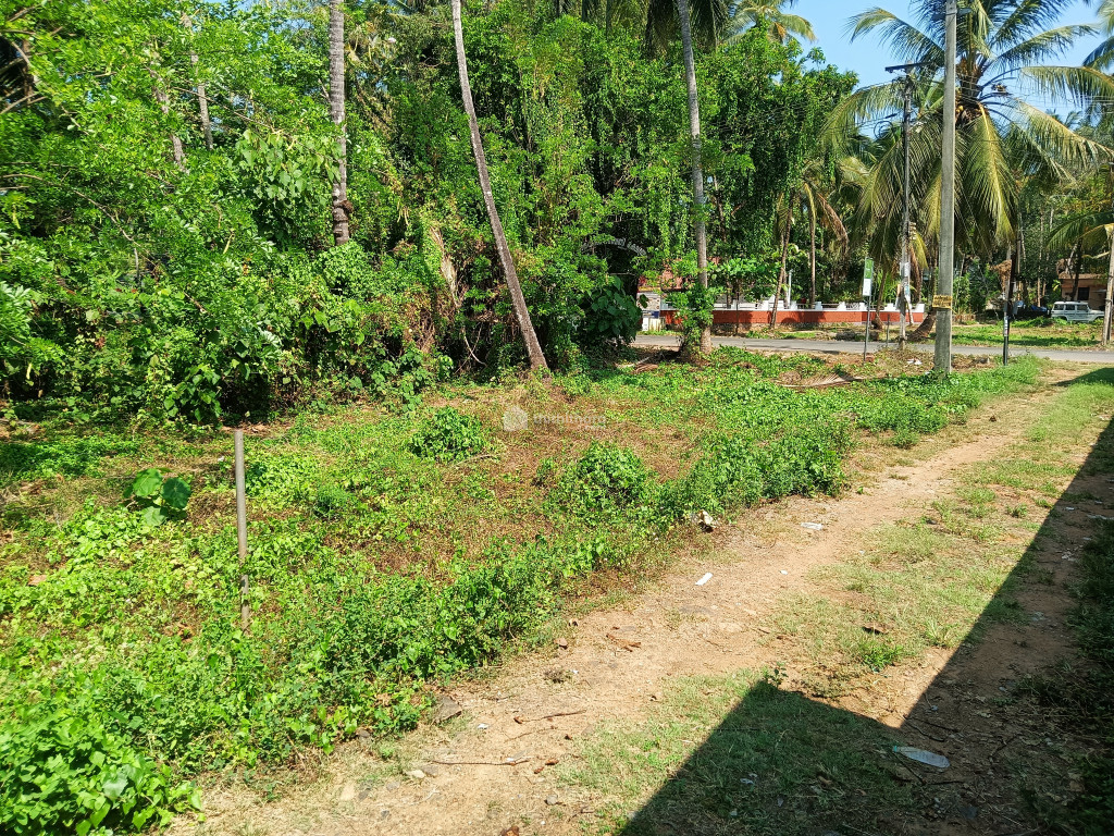 Commercial Plots available for Sale in Atholi Kozhikode