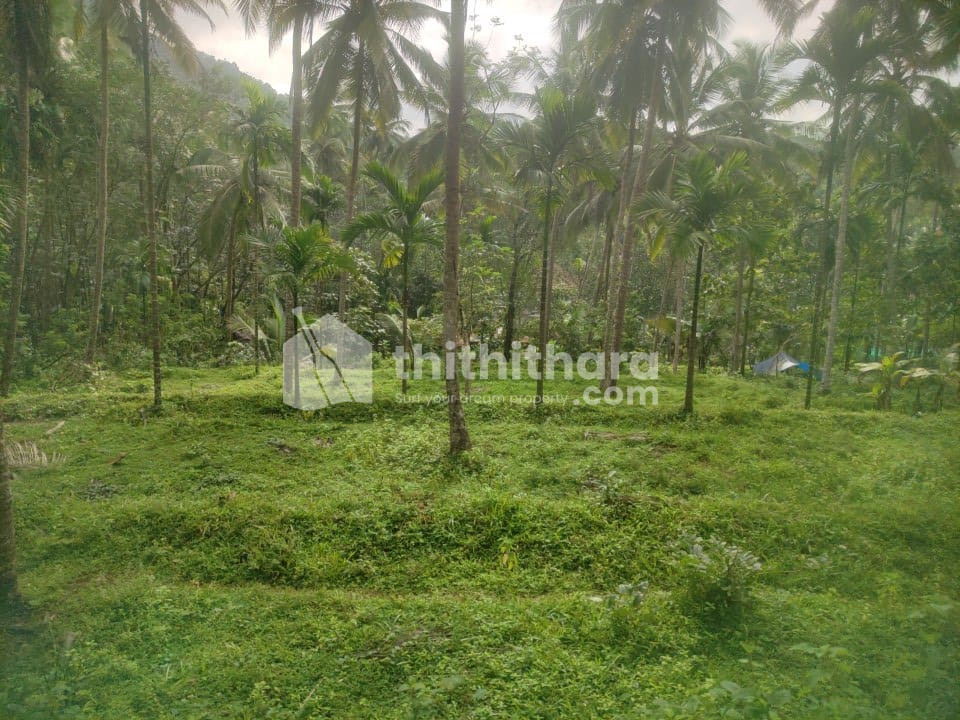 Commercial Plots available for Sale in Kuttiadi Kozhikode