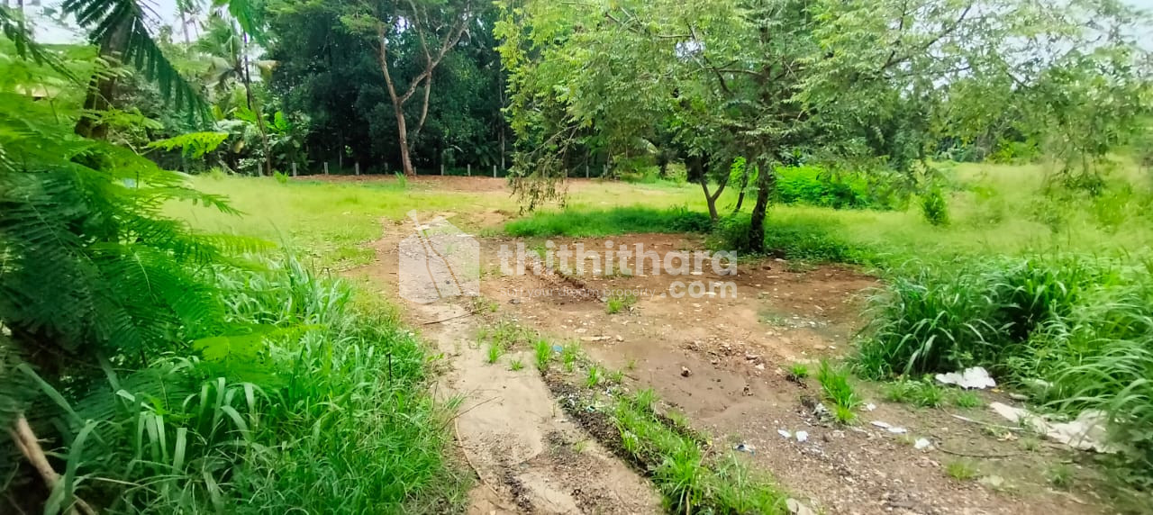 Commercial Land Available for sale at Marathakkara Thrissur