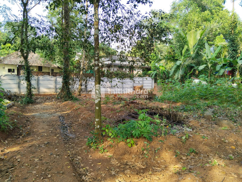 Residential Land available for Sale in Aluva Ernakulam