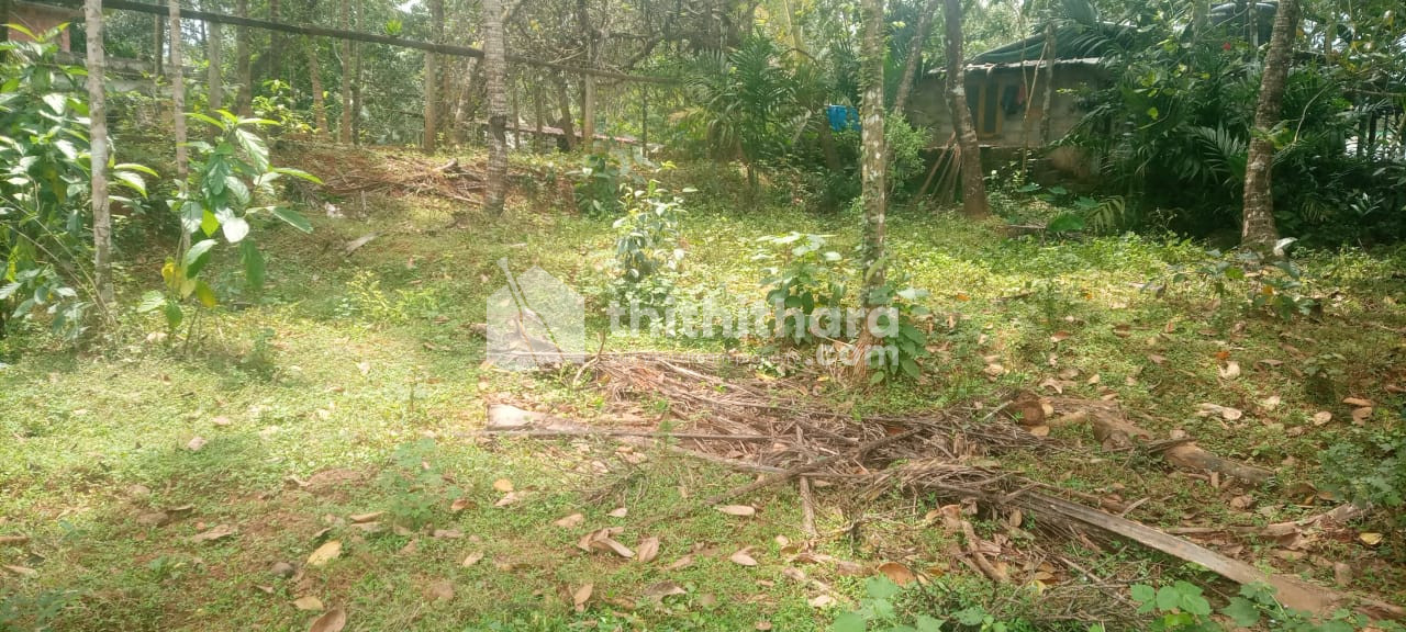 Residential Land available for Sale in Thalassery Kannur