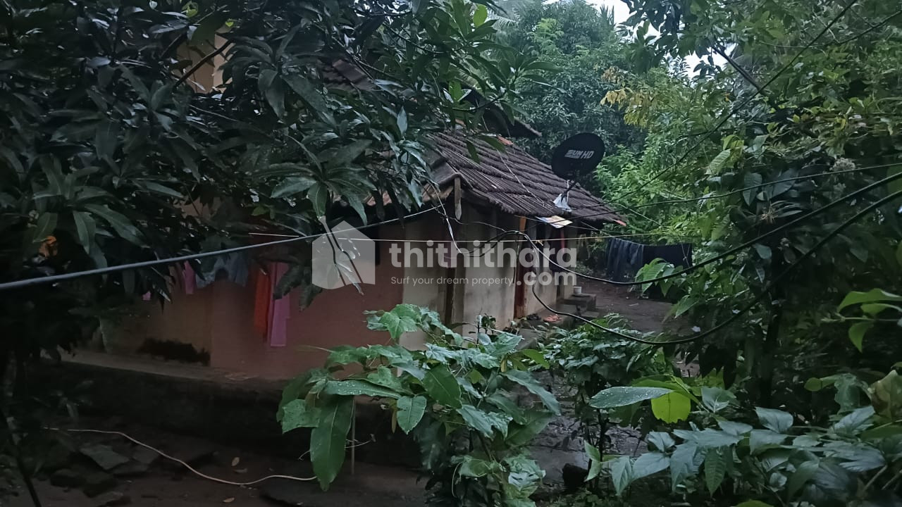 Residential Land available for Sale in Ottappalam Palakkad