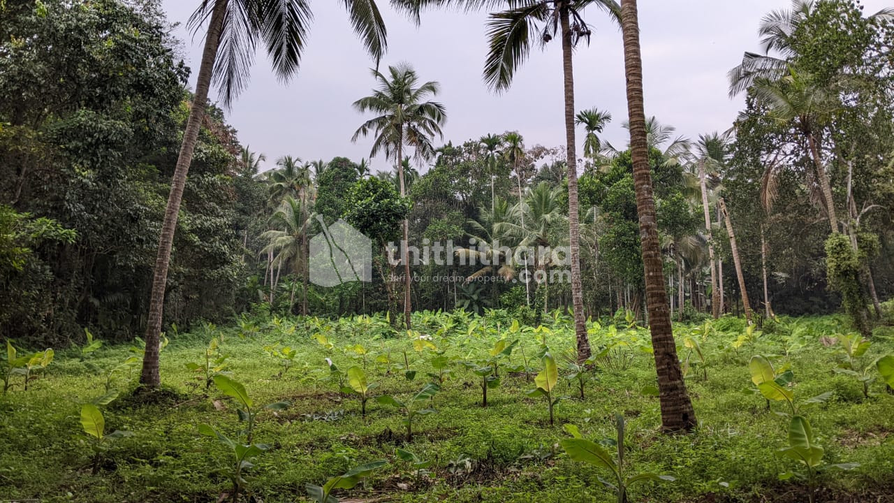 Residential Land available for Sale in Kunnamangalam Kozhikode