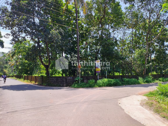 Residential Land available for Sale in  NattikaThrissur