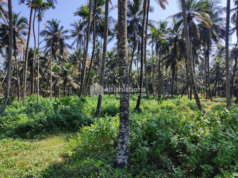 Commercial Plots available for Sale in Chavakkad Thrissur
