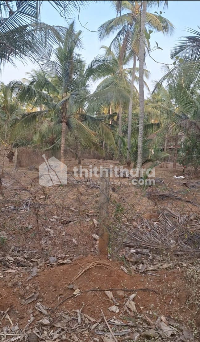 Residential Land available for Sale in Wadakkanchery Thrissur