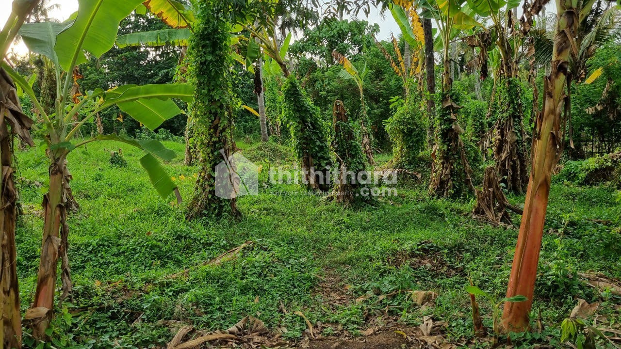 Commercial Plots available for Sale in Mukundapuram Thrissur