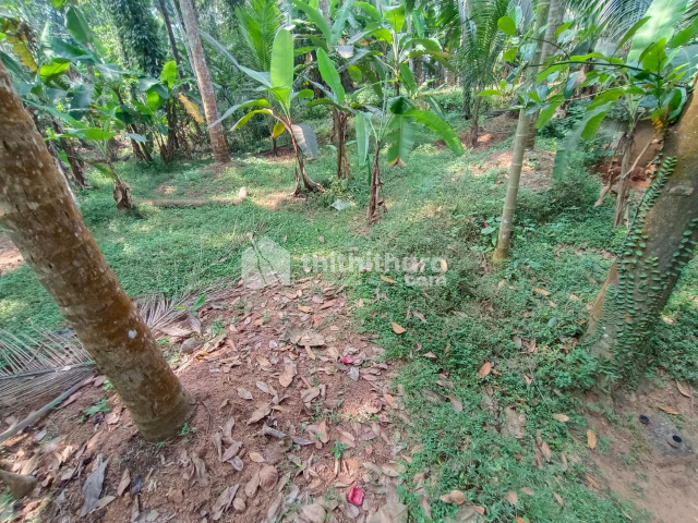 Commercial Plots available for Sale in Vadakara Kozhikode