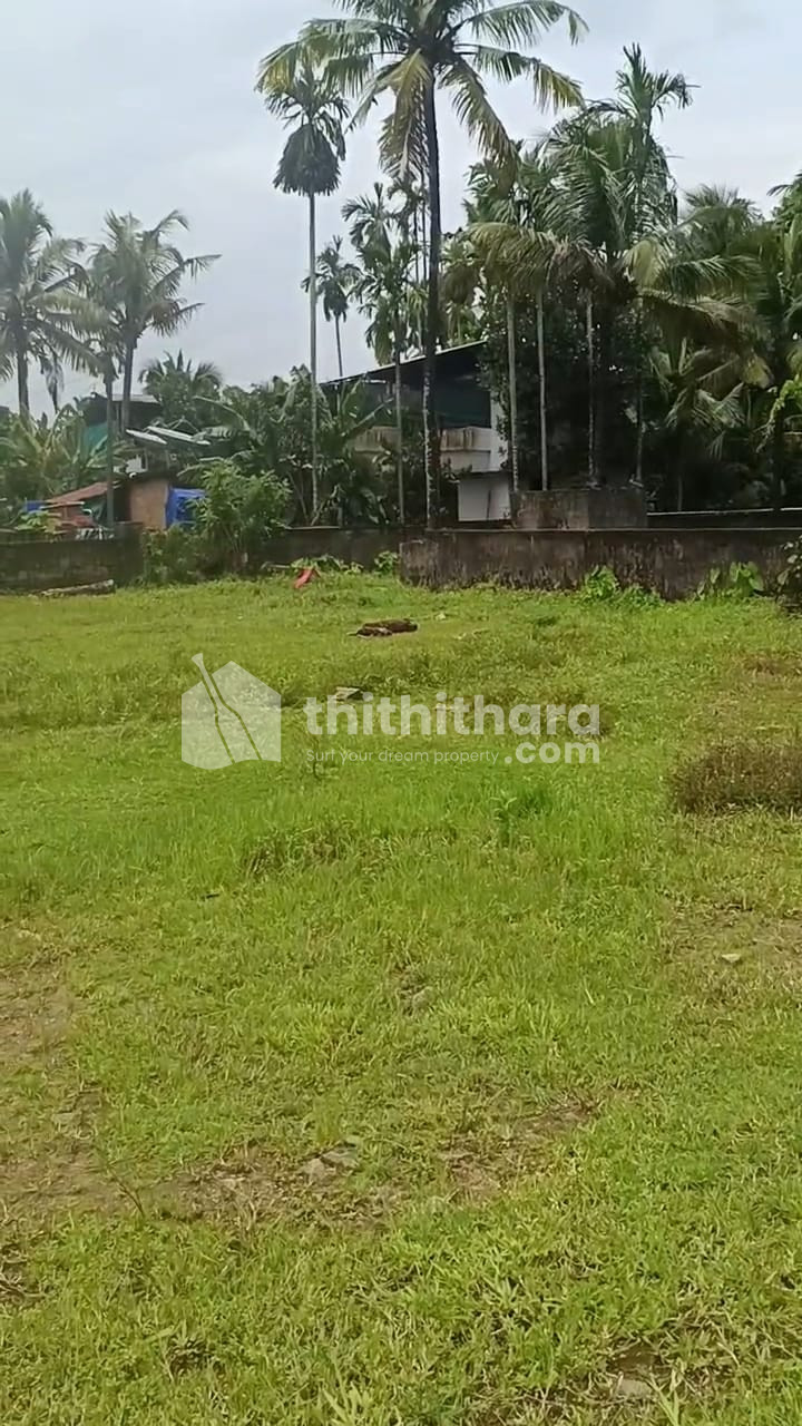 Residential Land available for Sale in Aluva Ernakulam