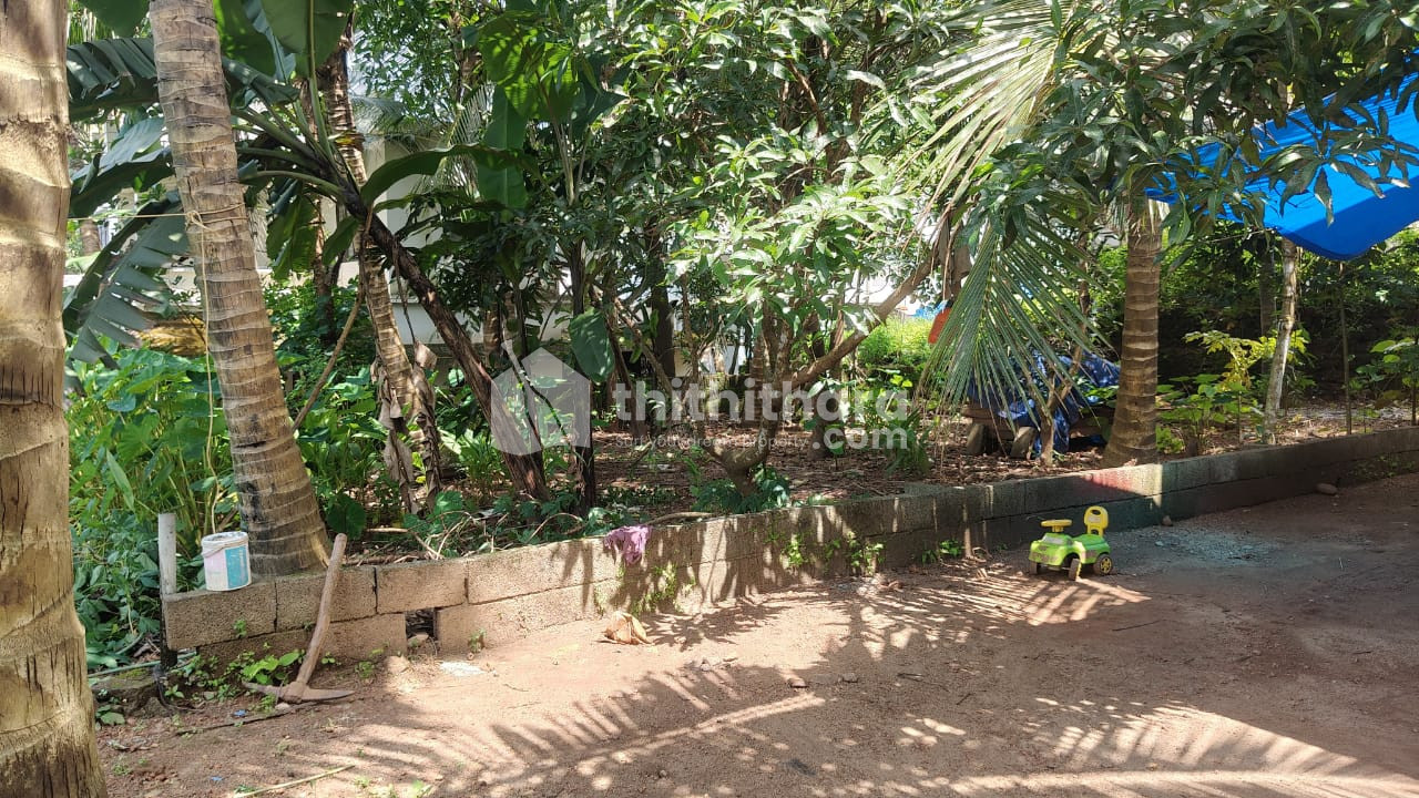Residential Land available for Sale in Kondotty Malappuram