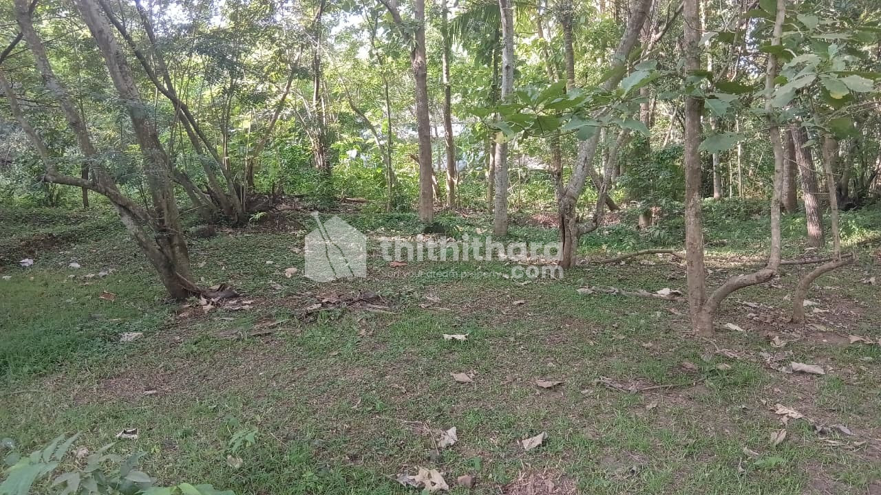 Residential Land available for Sale in Vizhinjam Thiruvananthapuram