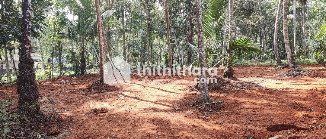 സ്ഥലം വിൽപ്പനക്ക്