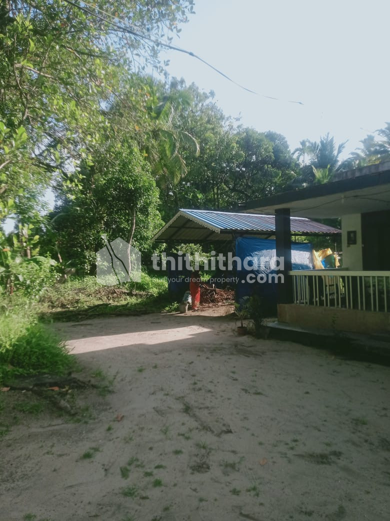 Residential Land available for Sale in Chavakkad Thrissur