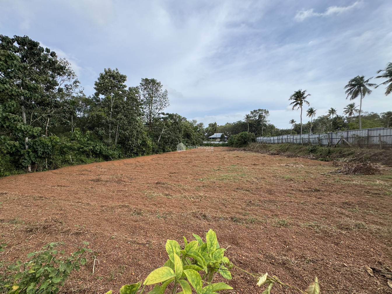 Agricultural Land Available for sale at Mavellikara Alapuzha 