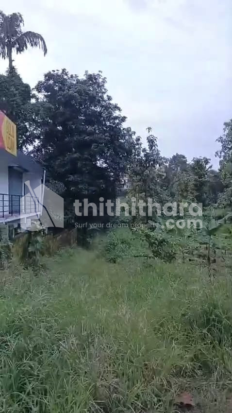 Residential Land available for Sale in Changanassery Kottayam