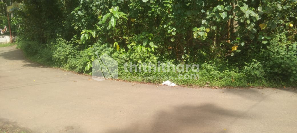 Commercial Plots Available for Sale in Wadakkanchery Thrissur