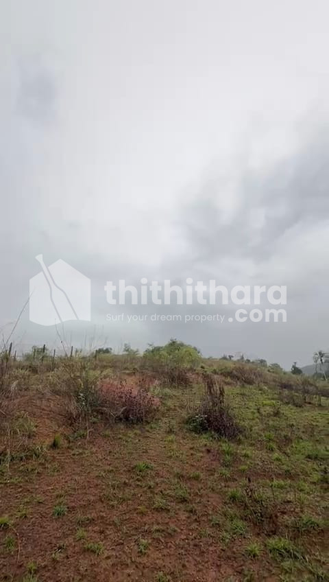 Commercial Plot Available for sale at Atholi Kozhikode  