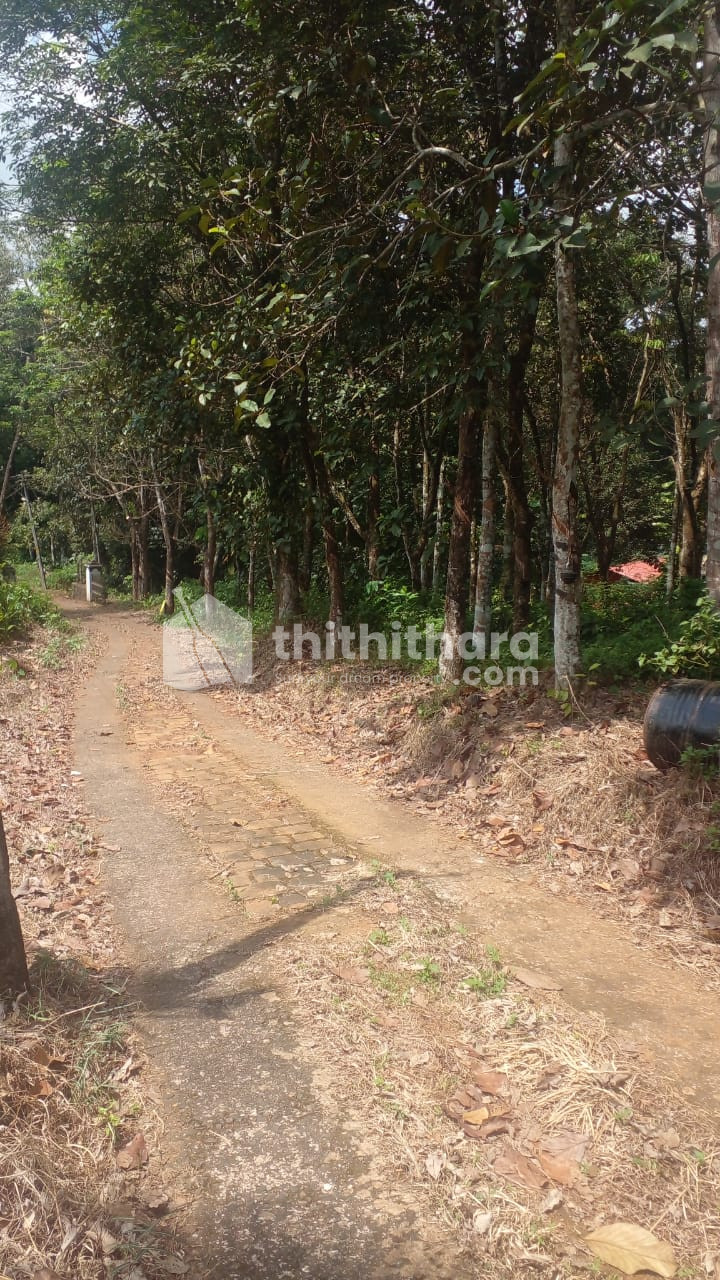 Residential Land Available for Sale In Manimala Kottayam 