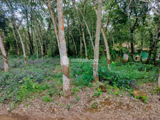 Residential Land available for Sale in Ettumanoor Kottayam