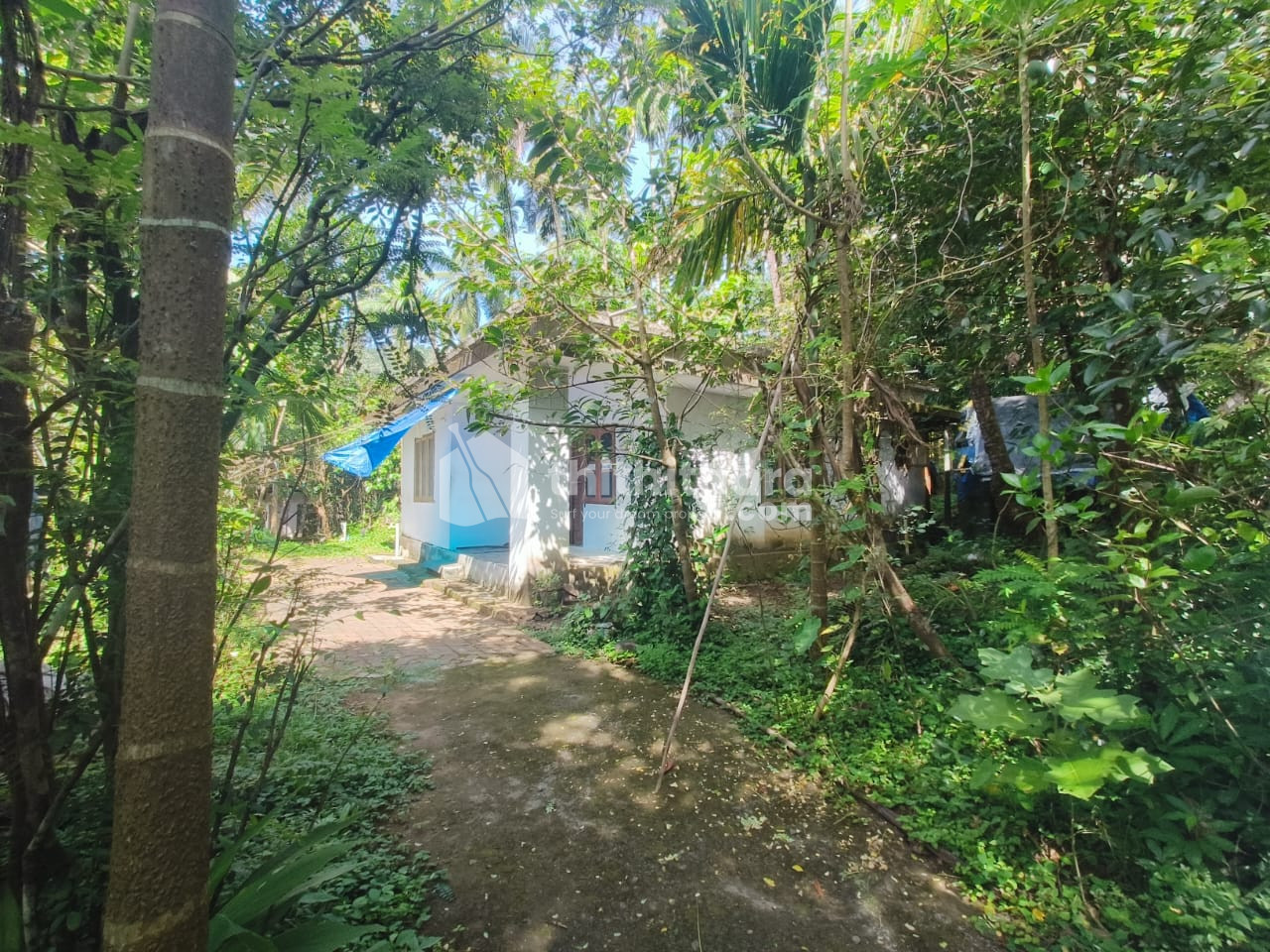 Residential Land Available for Sale in Kuttiadi Kozhikode