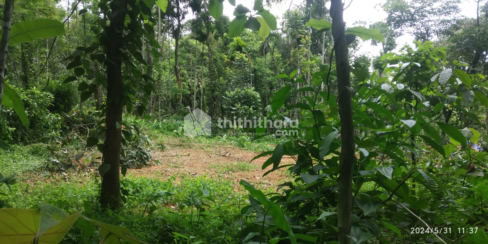 Residential Land  Available for Sale in Mananthavady Wayanad