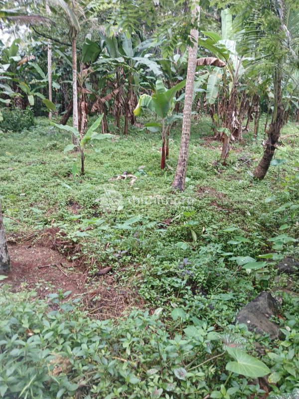 Commercial Plots Available for Sale in Aruvikkara Thiruvananthapuram