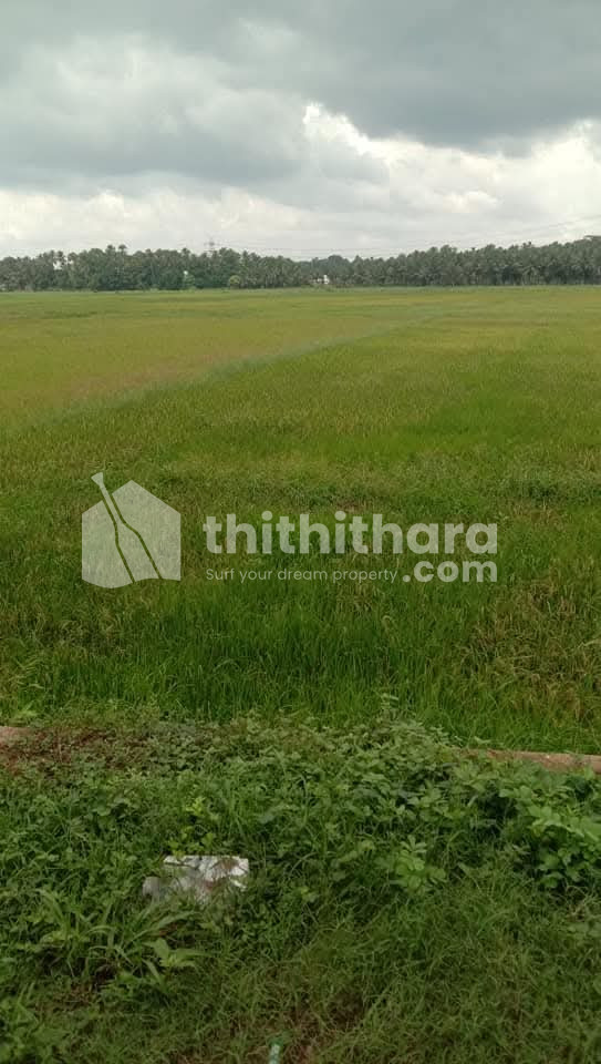 Agricultural Land Available for Sale in Mulayam Thrissur 