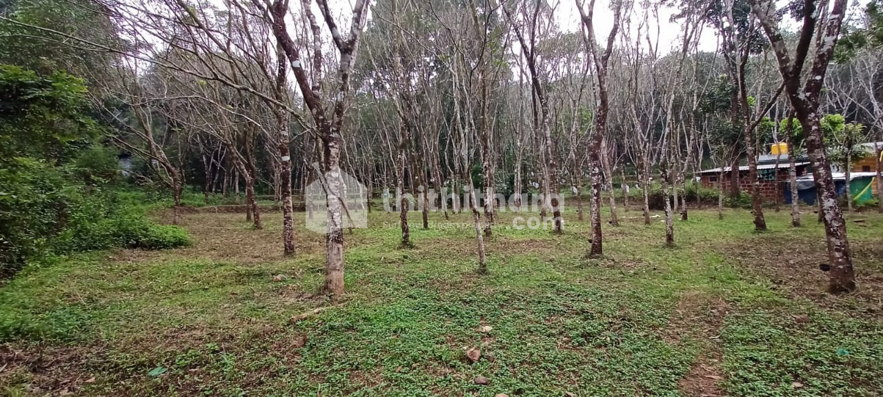 Commercial Plots available for Sale in Kanhangad Kasaragod