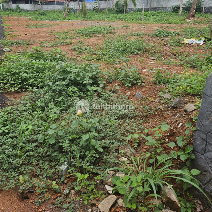 Land For sale in Kuriachira