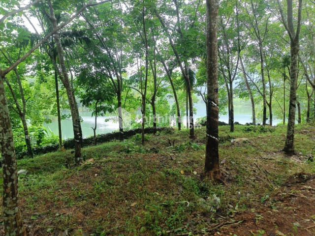 Commercial Plots Available for Sale in Balusseri Kozhikode