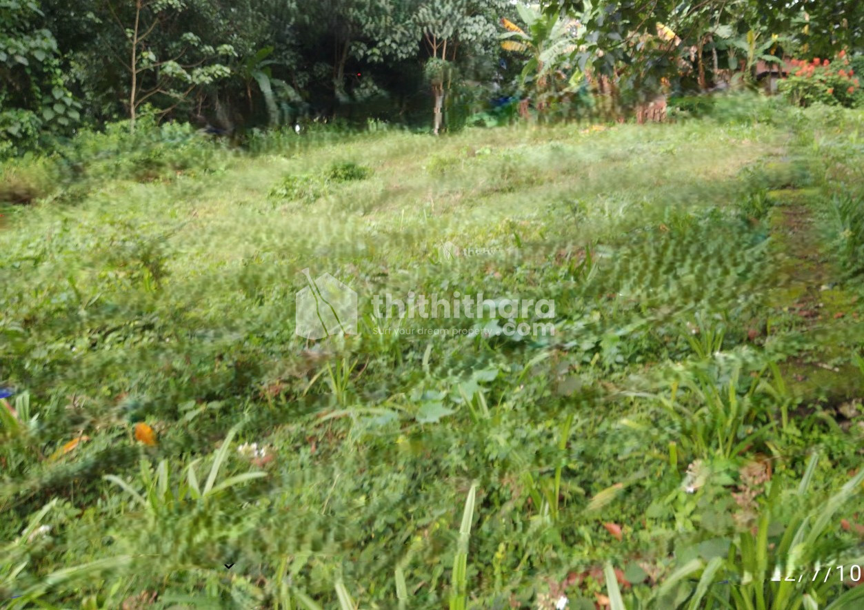 Residential Land Available for sale in Kayamkulam Alappuzha