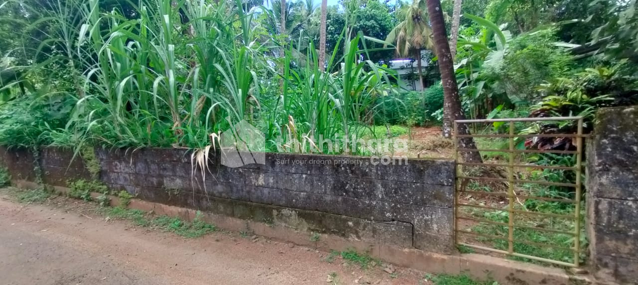Residential Land Available for sale in Viyyur Thrissur