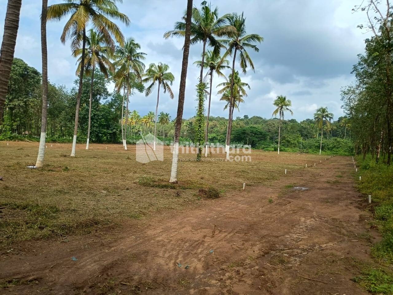 Residential Land available for Sale in Mukundapuram, Thrissur