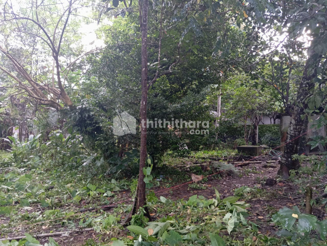 Commercial Plots Available for Sale in Piravom Ernakulam