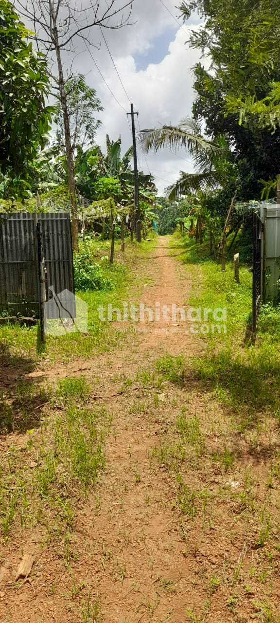 Residential Land Available for Sale at Kayamkulam Alappuzha 
