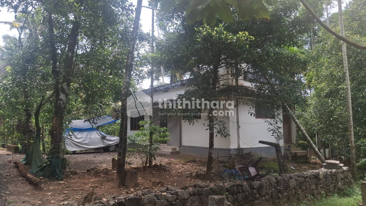 Residential Land Available for Sale in Angamaly Ernakulam
