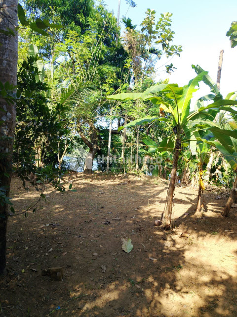 Residential Land Available for Sale in Vaikom Kottayam