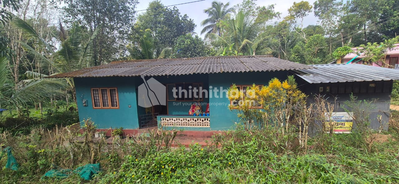 3BHK Independent House Available for Sale in Mananthavady Wayanad