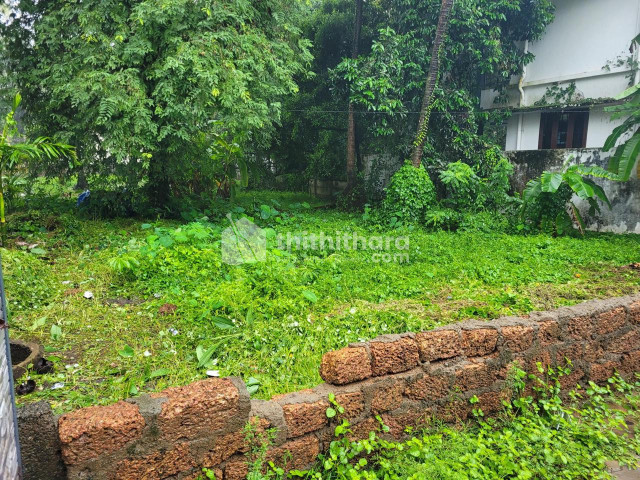 Residential Plots for Sale in Kottuvally, Koonammavu
