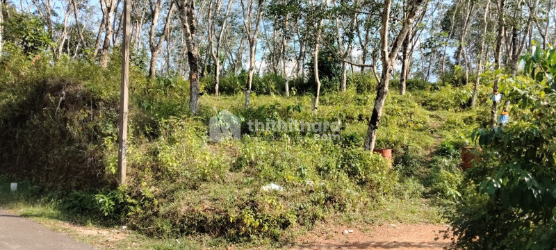 Residential Land Available for Sale in Nedumangad Thiruvananthapuram