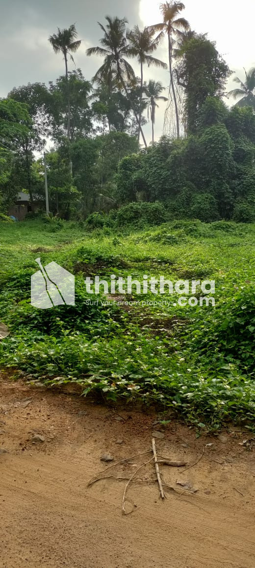 Residential Land Available for Sale in Alappad Thrissur 
