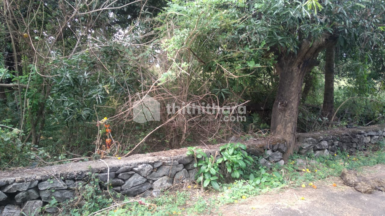 Residential Land Available for Sale at Gandhinagar Thrissur