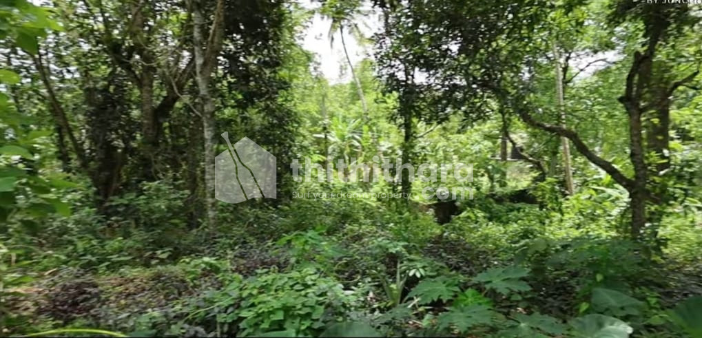 Residential Land Available for Sale in Nemom Thiruvananthapuram