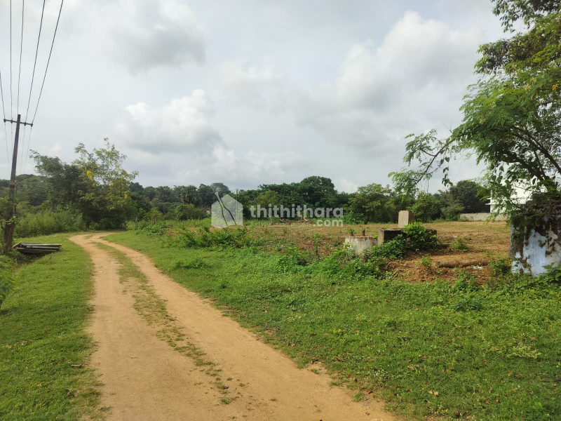 Residential Land Available for sale in Pallatheri Palakkad 
