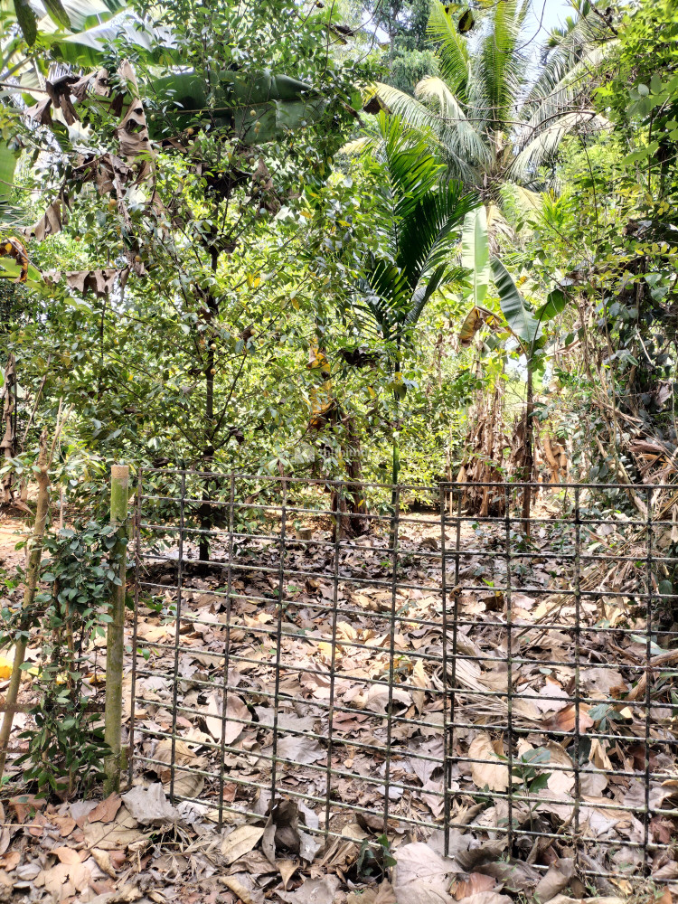 Residential Land Available for Sale in Vaikkom Kottayam  