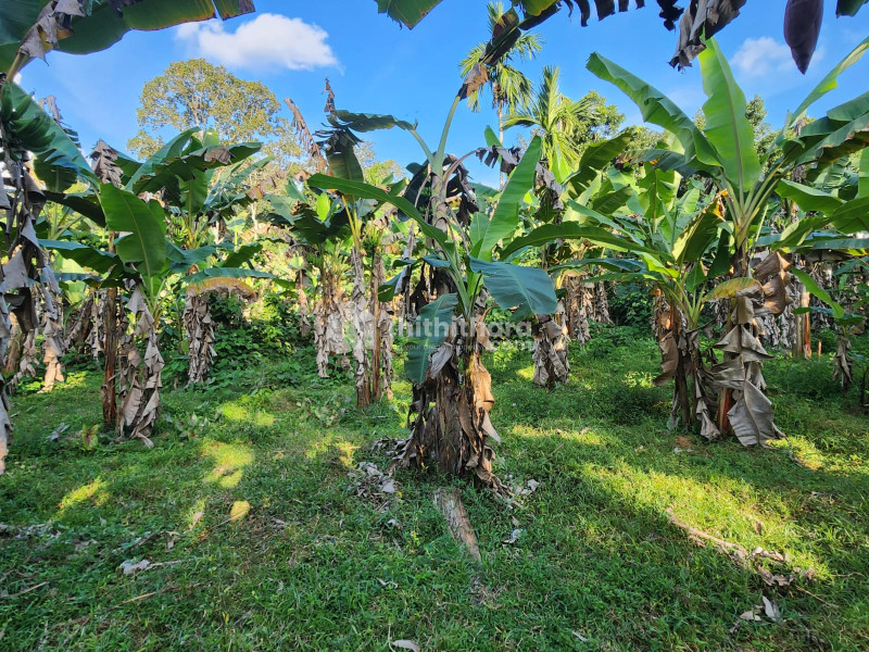 Commercial Plot Available for Sale in Kunnathur Kollam