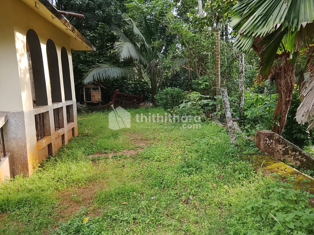 Residential Land Available for Sale in Kanjirappally Kottayam