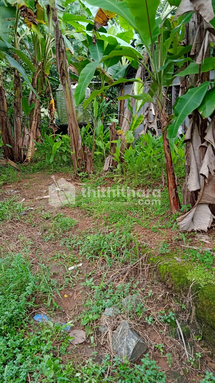 Residential Land Available for Sale in Angamaly Ernakulam