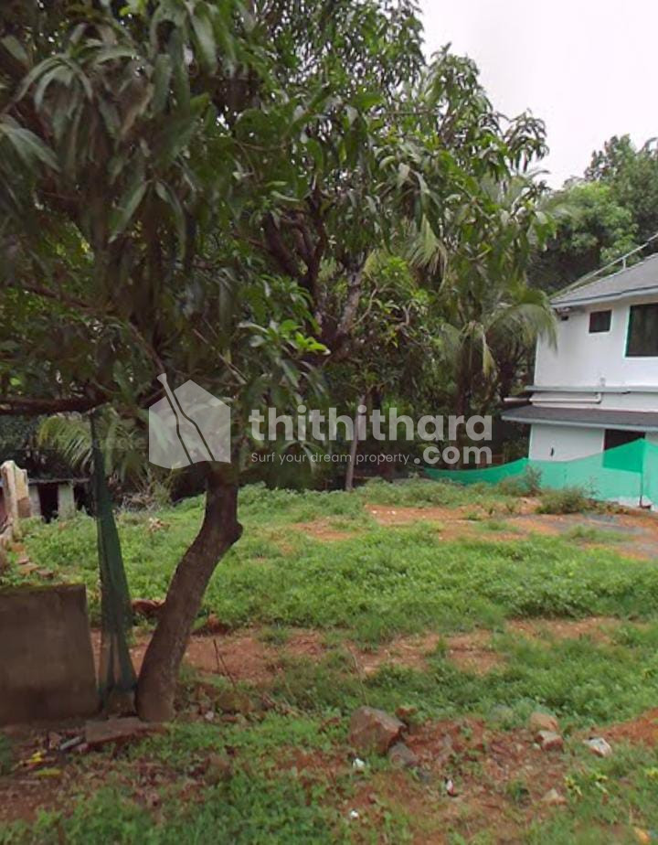 Residential Land Available for Sale in Perinthalmanna Malappuram